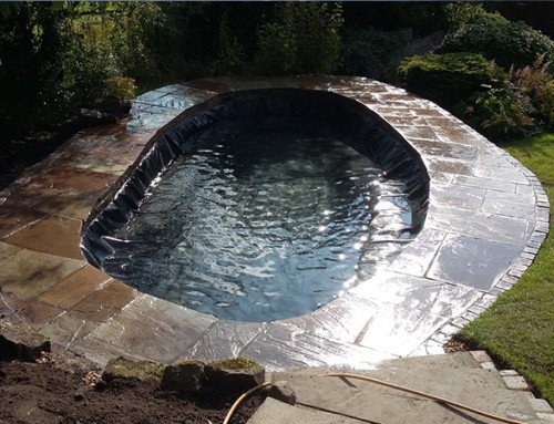 Garden Fish Pond Renovation