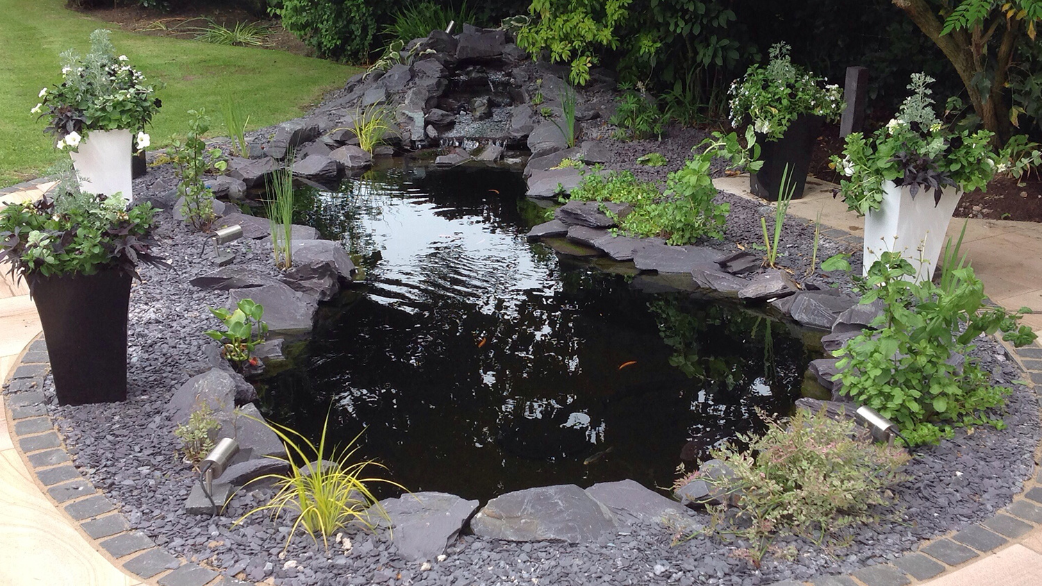 Natural Ponds