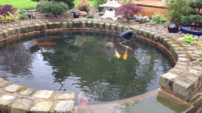 Koi Pond Construction Cheshire - Ponds Northwest Bury