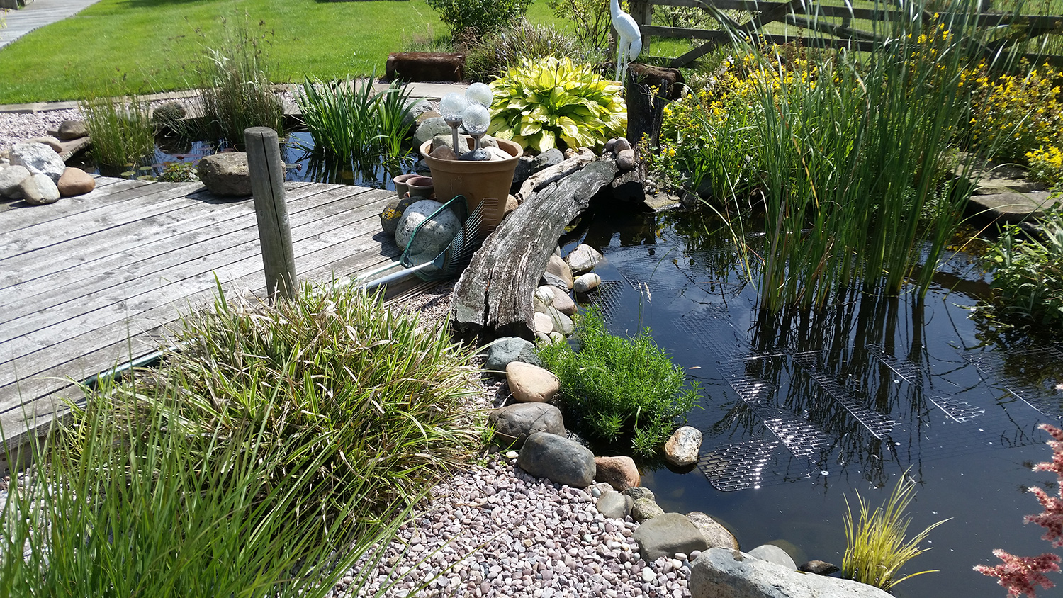 Natural Ponds