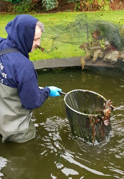 Pond Maintenance - Ponds Northwest