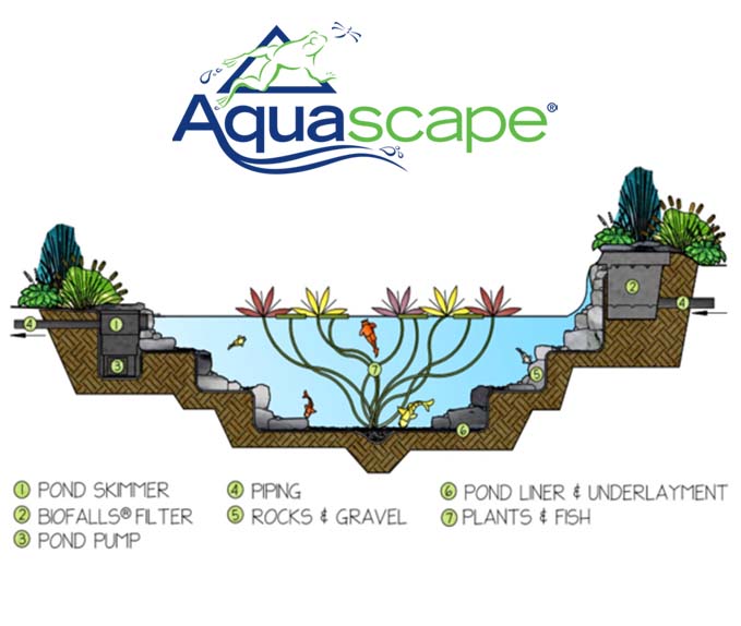 Aquascape Ponds Filtration Specialists