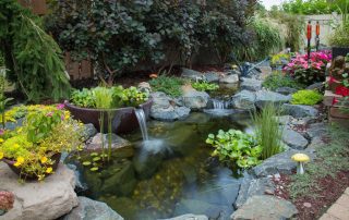 Natural Pond Installation