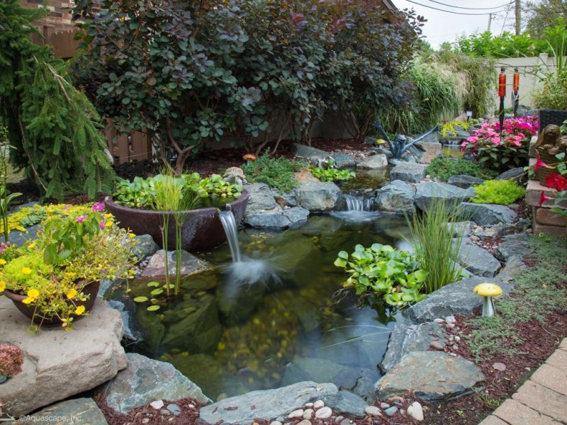 Natural Ponds Installed by Pond Specialists Ponds Northwest - Ponds ...