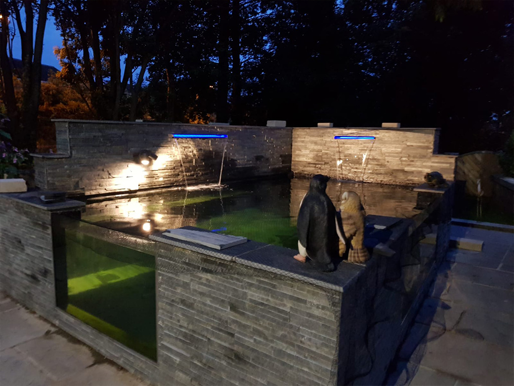 Contemporary Pond Installation