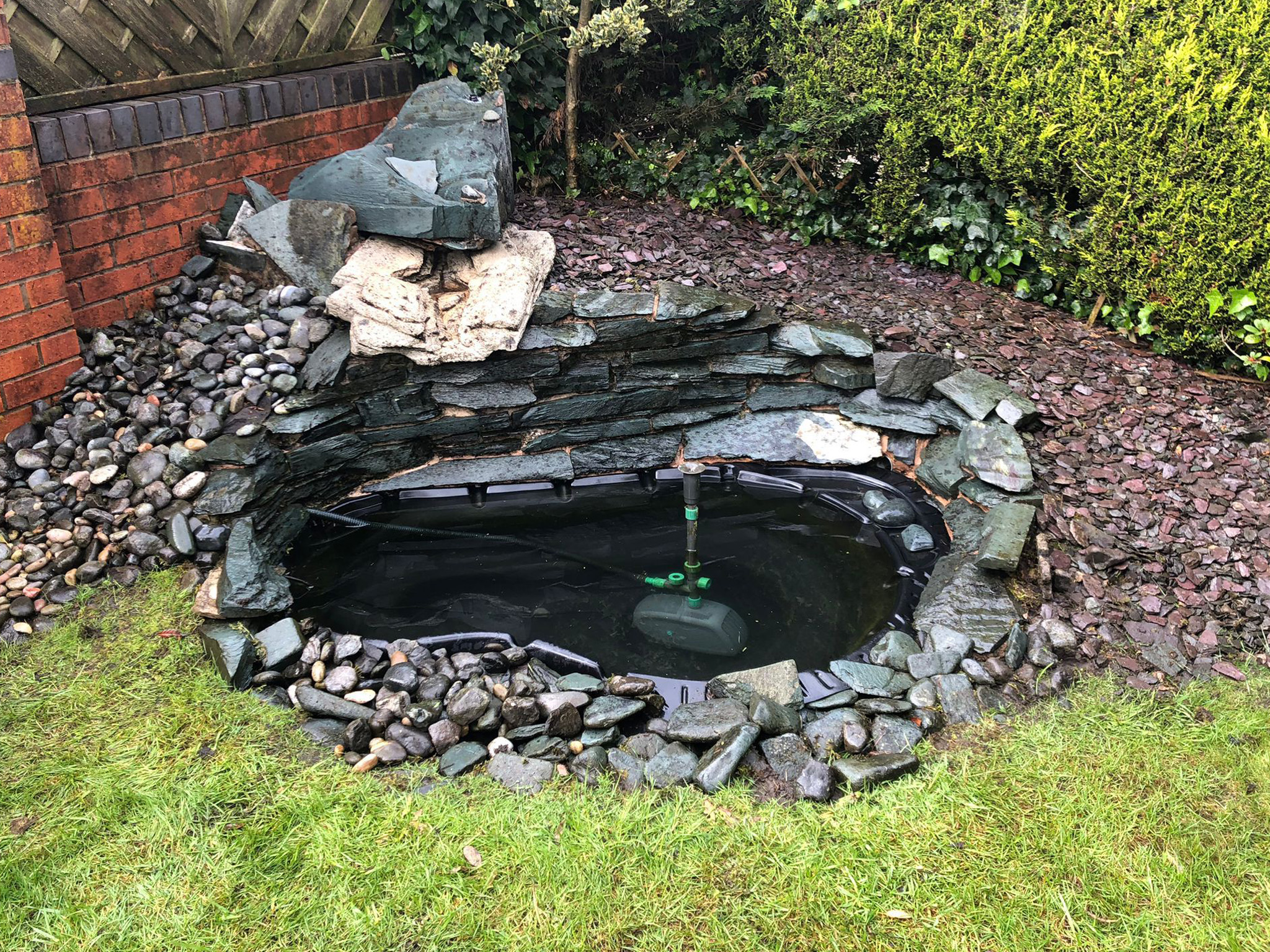 After Pond Cleaned