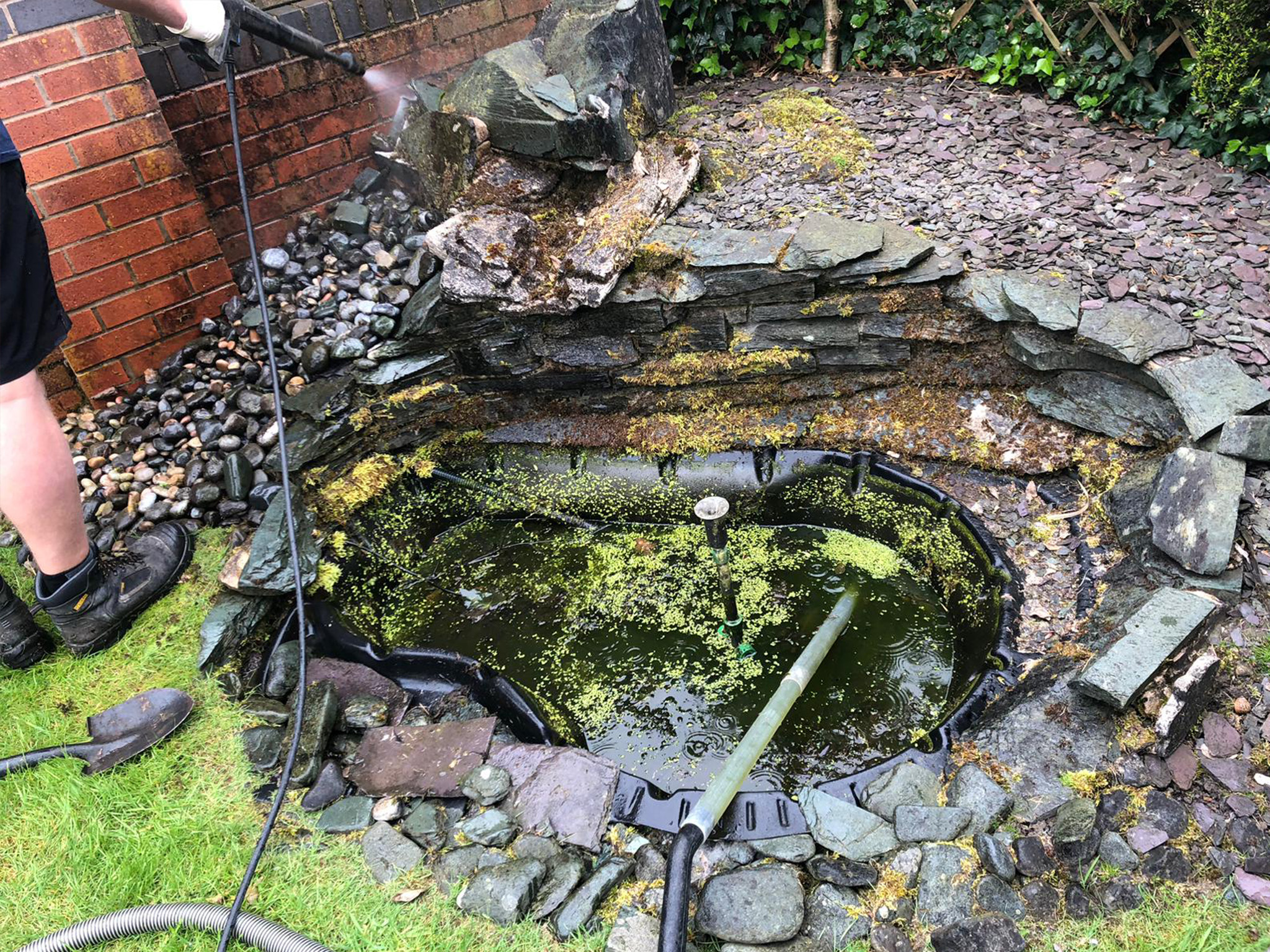 Before Pond Cleaned