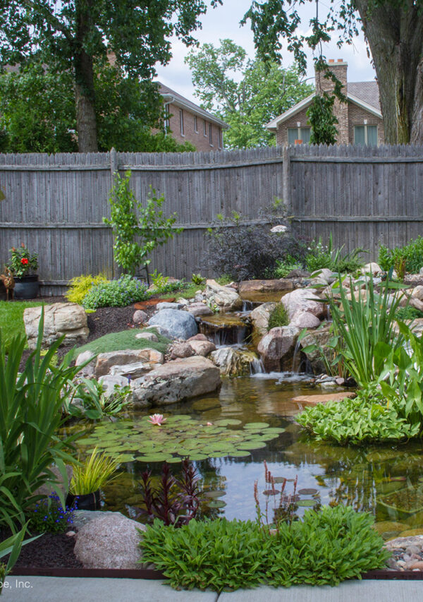 Natural Ponds | Pond Designa and Installations | Ponds Northwest