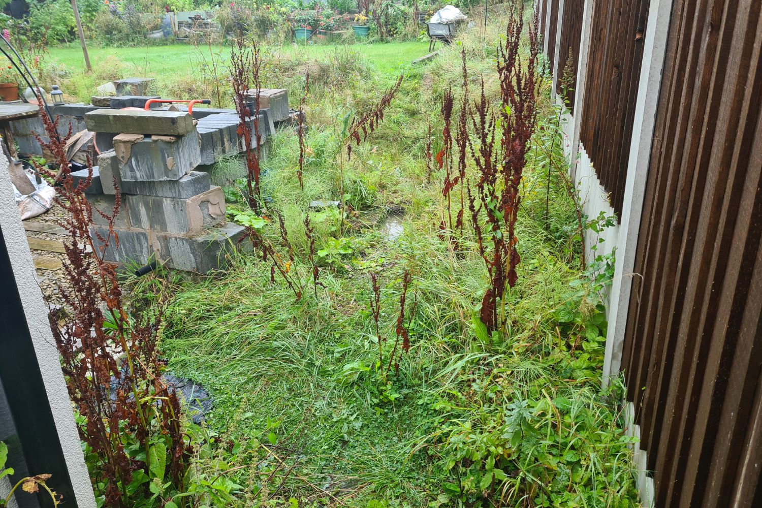 eco-scaped-pond-build-greenmount 1