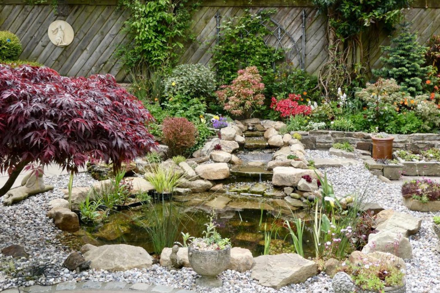 optimised image 6