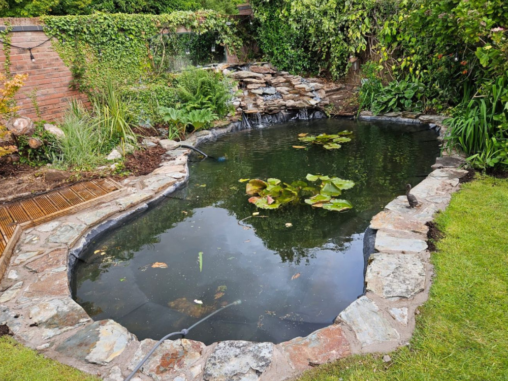 Pond Reline Service